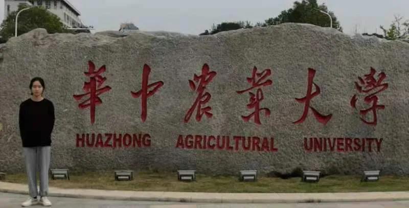 银娱优越会(中国)最新官方网站