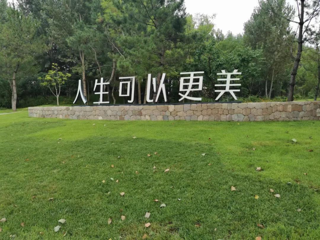银娱优越会(中国)最新官方网站
